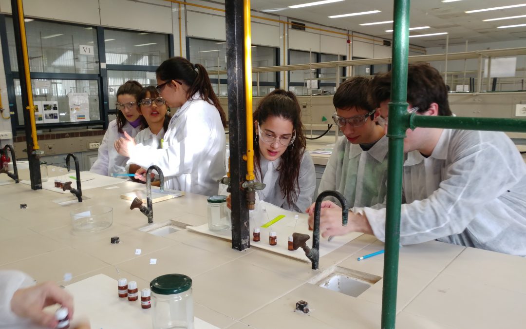 Participem al programa “Fem Química al laboratori” de la UB