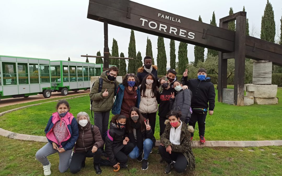 Sortida a Bodegues Torres de 2n N