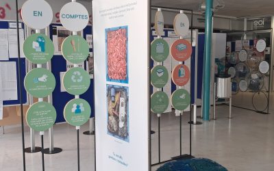 Aterra l’exposició mar viva al Milà i Fontanals