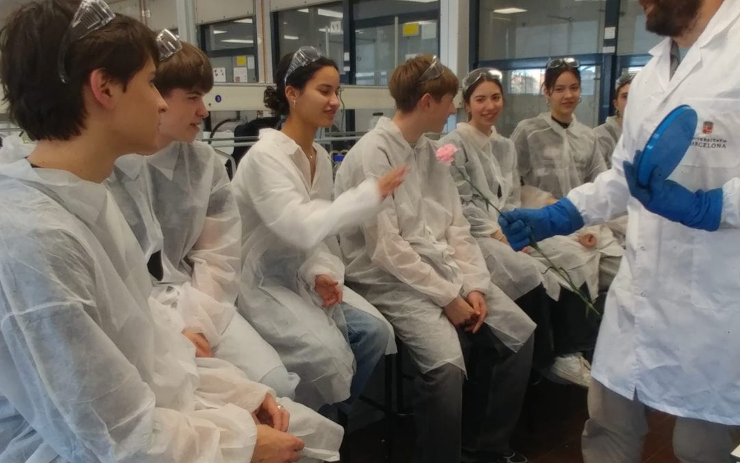 FEM QUÍMICA AL LABORATORI (de la UB!)